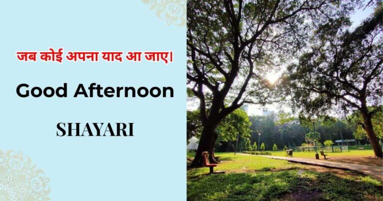70 + Good Afternoon Shayari That Feel Real and Relatable