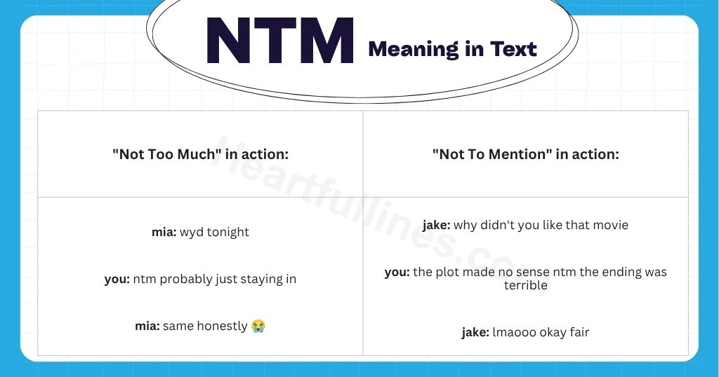 Real Chat Examples For NTM Meaning in Text
